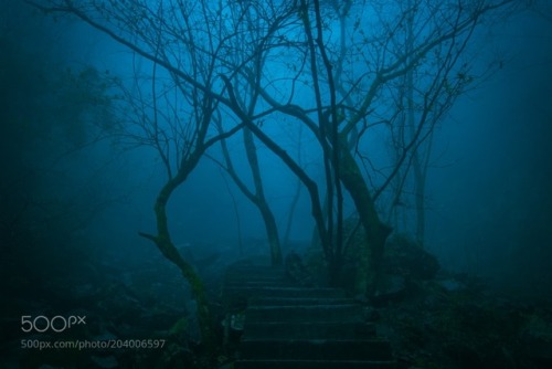 euph0r14:fog | by yj8711 Source: http://ift.tt/2mKnGYA