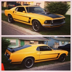 Theycallmeaj:  Gimme. #Ford #Mustang #Boss #Boss302 #Classic #Musclecar #Car #V8