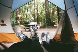 brennanmunoz:  Big Sur 2014 