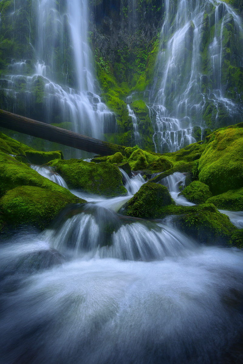 coiour-my-world:  Rain Man by Miles Morgan on Fivehundredpx 