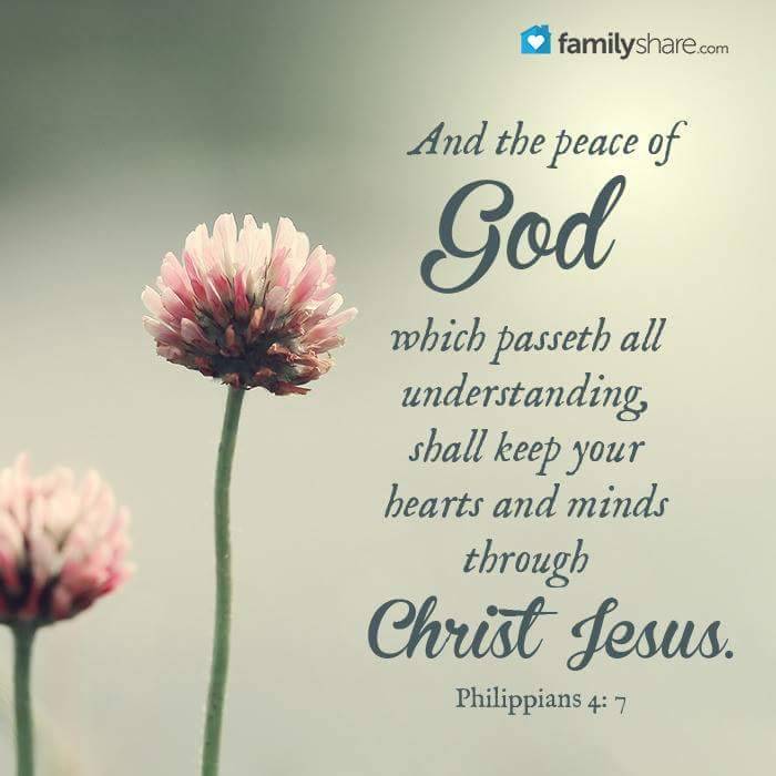 The Living... — Philippians 4:7 (KJV) - And the peace of God,...