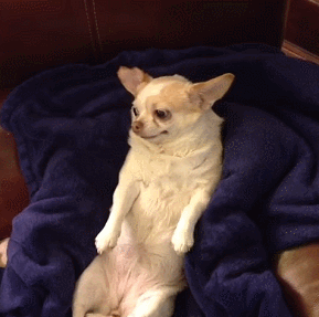 markipliergamegifs:  POUR SOME SUGAR ON MEi see no difference here