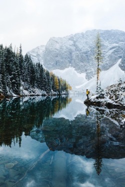 alecsgrg: Snowy days | ( by Dylan Kato )