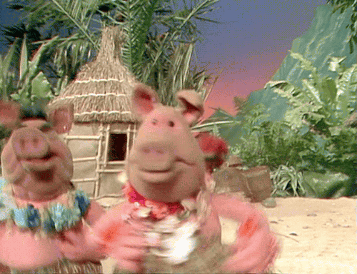 gameraboy:Hula time!The Muppet Show, “Sylvester Stallone”Pigs should probably give luaus a miss.