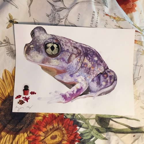 sleepysweetpea:beesbumble-stayhumble:It’s a froggy frog world@3000s