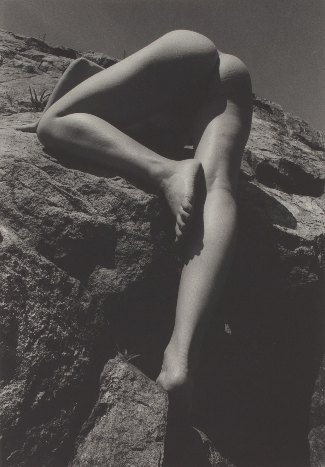gacougnol:   Dianora Niccolini Untitled (Female Nude Climbing Rock Face) 1974 