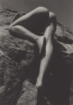 inneroptics:  (FEMALE NUDE CLIMBING ROCK FACE)-DIANORA NICCOLINI  voll schön