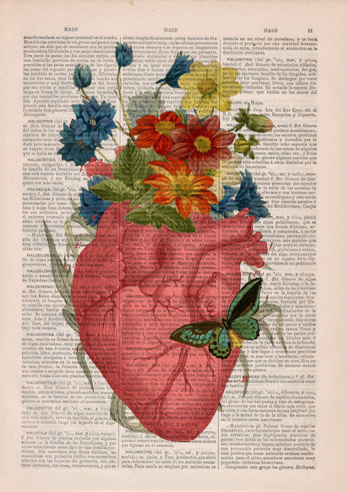 culturenlifestyle:
“ Anatomical Collages on Vintage Dictionary Paper
Spanish shop PRRINT composes vintage prints with a contemporary sensibility on up-cycled old dictionary book pages. By infusing anatomical sketches and flower illustrations, PRRINT...