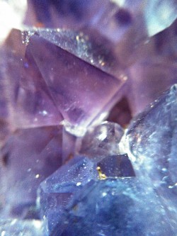 catsnatch:Macro of amethyst and the druzy insides of a geode.