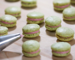 fullcravings:Green Tea Macarons with Raspberry