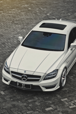 zooic:  Benz by Winston 