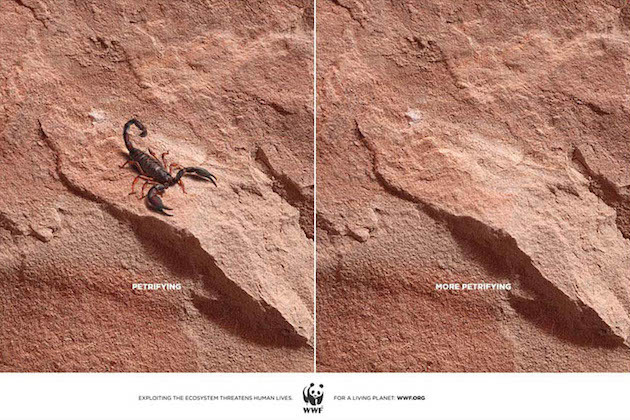 jedavu:  POWERFUL ANIMAL AD CAMPAIGNS