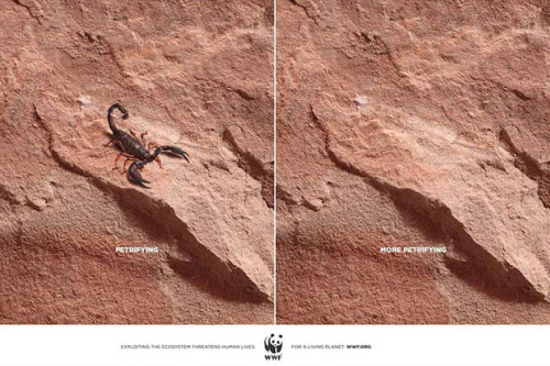 Sex jedavu:  POWERFUL ANIMAL AD CAMPAIGNS pictures