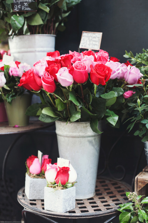 floralls: Pretty Flower Shops in Paris (by Paris in Four Months)