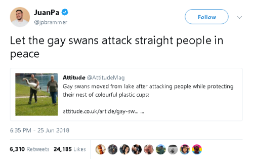 goawfma:gay swans you are doing amazing sweeties