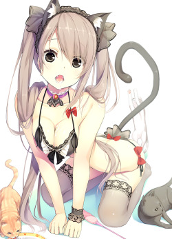 wanwan7:  animal ears bra cleavage neko nekomimi