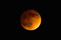 skylerbrownart:  Blood Moon (Lunar Eclipse)