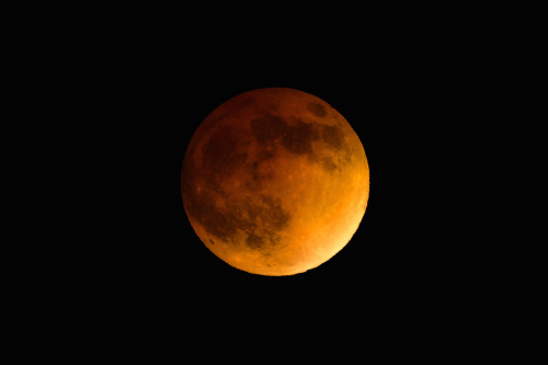 Porn skylerbrownart:  Blood Moon (Lunar Eclipse) photos