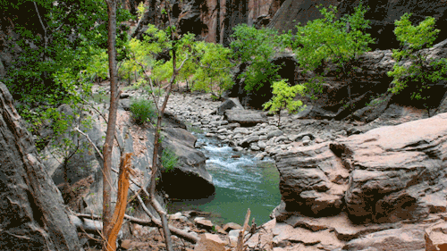 angelictroublemaker:leahberman: the narrows; zion national park, utah instagram[4 gifs of a beauti
