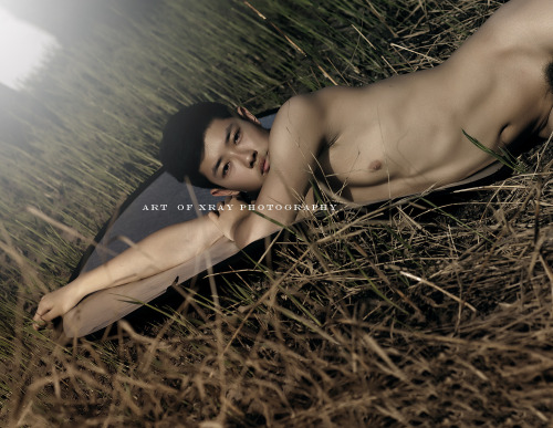 Taste male color