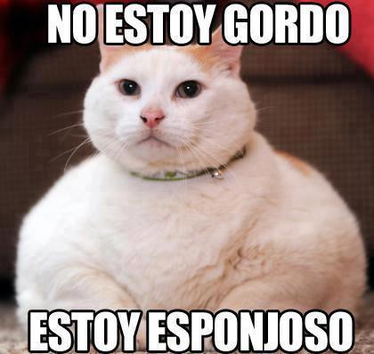 tumblr photo hola-soy-anacleto 0