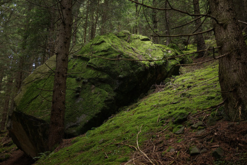 der alte Poststeig by Inge Sader