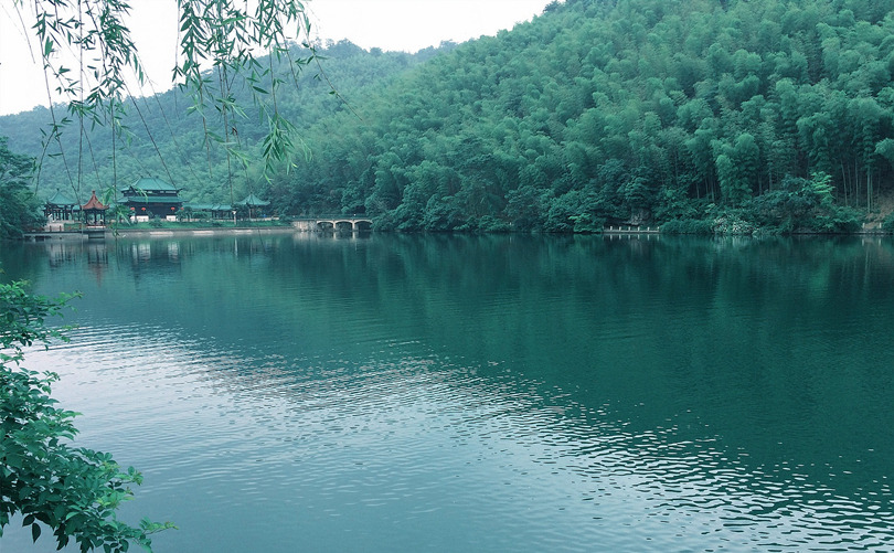 宜兴竹海Bamboo forest, Yixing, China by 梅鹿君