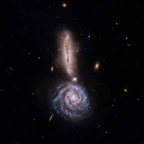 VV 340, pair of interacting galaxies in Boötes.The two galaxies shown here are in the early stage of