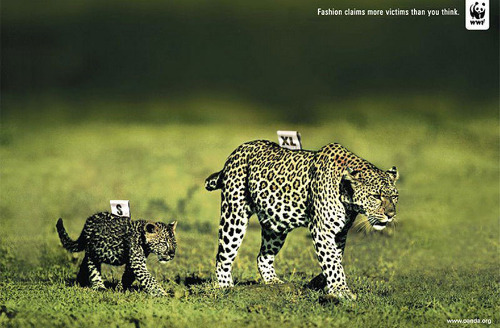 asylum-art:  11 . Powerful Animal Ad Campaigns porn pictures