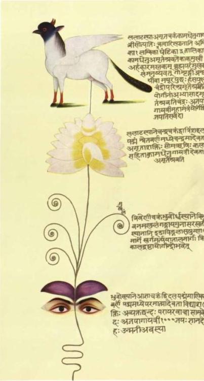 Unknown, Tantric Art, IndiaFrom the bookTantra art its philosophy and physics by Ajit Mookerjee,1971