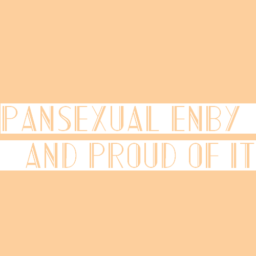 [Image Description: An orange color block with text that reads “pansexual enby and proud of it