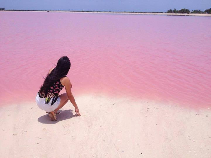 lesbian-lily:  fatbengal:  bobbycaputo:    Naturally Pink Lagoon in Mexico Is Like