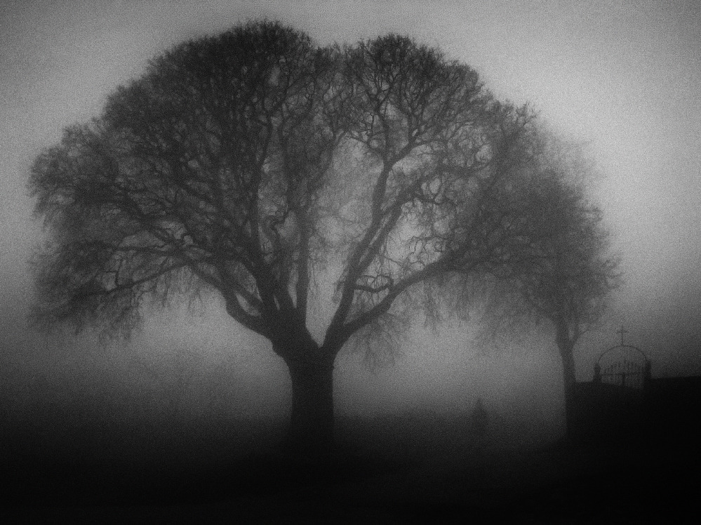 branislavfabijanic:  Way to Unknown Branislav Fabijanic  
