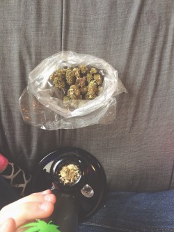 the-stoner-sage:  stoned–princess:  a lovely