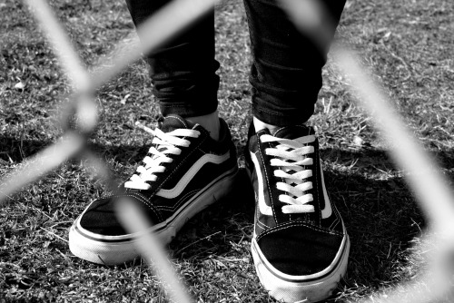 Vans Old Skool | Insta: ameliabarklidphoto