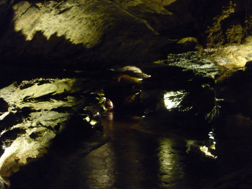 Underground at Dan-yr-Ogof, September 2014can you spot the angel?