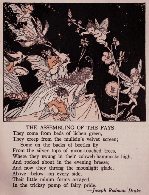 Maud Fuller Petersham (1890-1971) & Miska Petersham (1888-1960), ‘The Assembling of the Fa