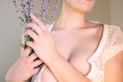 nubilefae: lavender