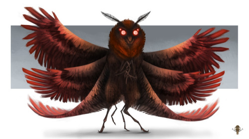 A mothman