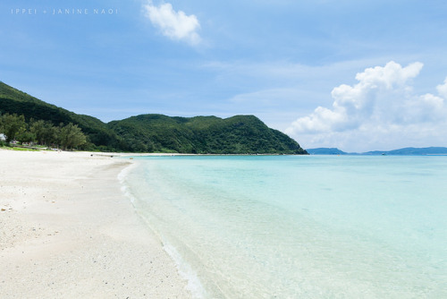 White sand tropical beach favored by sea turtles, Japan, Tokashiki Island by Ippei &amp; Janine Naoi