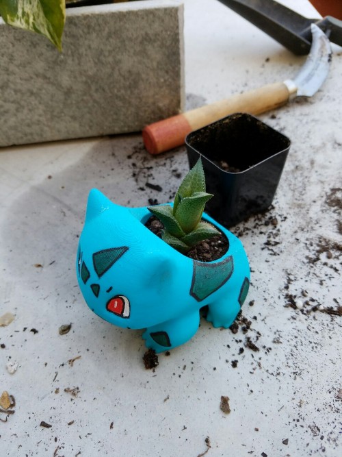 the-bearded-gardener:Replanted bulbasaur with a haworthia.The haworthia in my bulbasaur planter is n