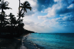 godominicanrepublic:  Beach, palms, sunset