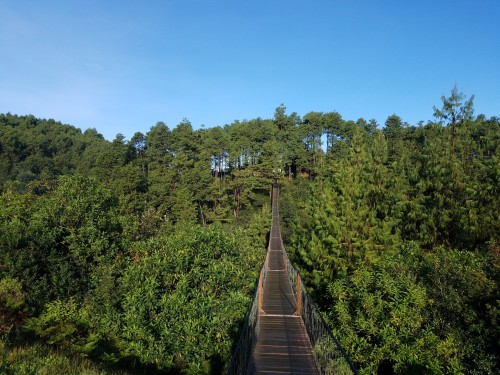 Cascadas Gemelas En Parqué Ecoturistico Paraíso En Honey, Puebla, México.
