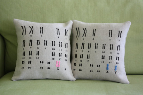 Science Pillow // dirtsastudio