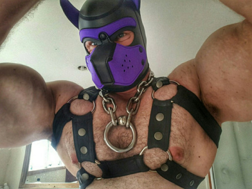 Your guide to choosing a perfect 24/7 pup or slave collarhttps://goo.gl/pW8kYp