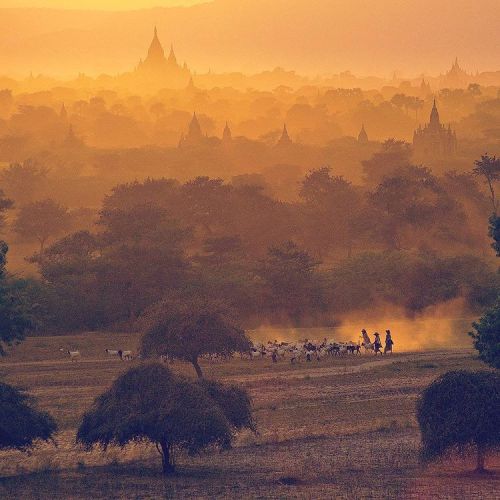 A normal day in #Bagan ancient City #BurmaTag #Legendtravelgroup #Myanmar #bagancity #baganancientci