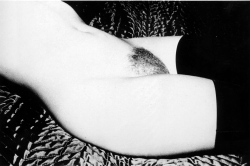 onlyoldphotography:  Ralph Gibson: Torso