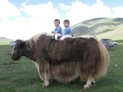 rawkiss:micromermaid:meanwhile, in Kyrgyzstan…THE