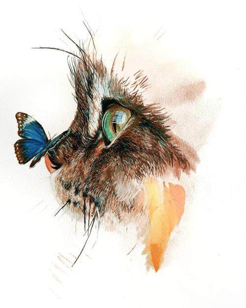  Original Watercolor Cat Painting // Zaiguu 