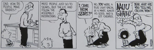 dailycalvinandhobbesenglish: (April 18, 1987)